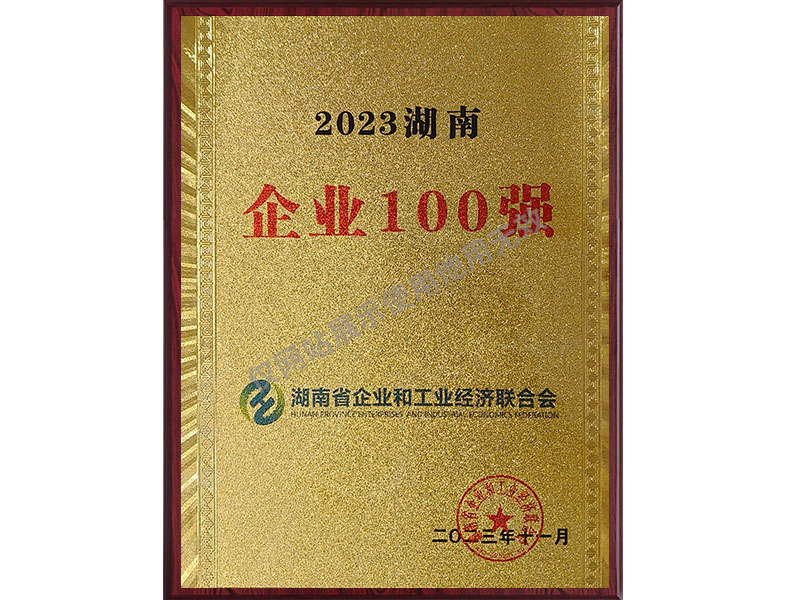 2023湖南企业100强